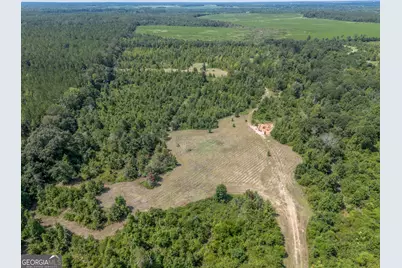 0 Nicholson-Carr Road, Chester, GA 31012 - Photo 13