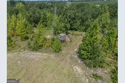 0 Nicholson-Carr Road, Chester, GA 31012 - Photo 19