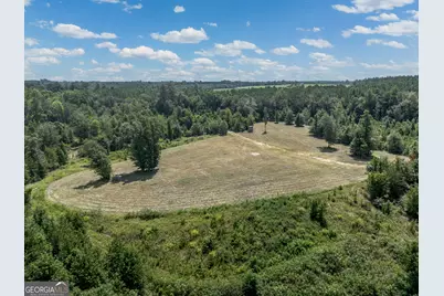 0 Nicholson-Carr Road, Chester, GA 31012 - Photo 7