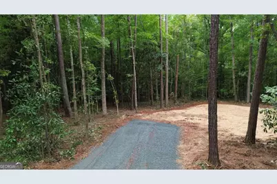 0 Roosevelt Hwy #2, Warm Springs, GA 31830 - Photo 3