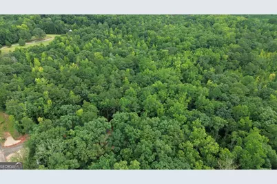 0 Roosevelt Hwy #2, Warm Springs, GA 31830 - Photo 5