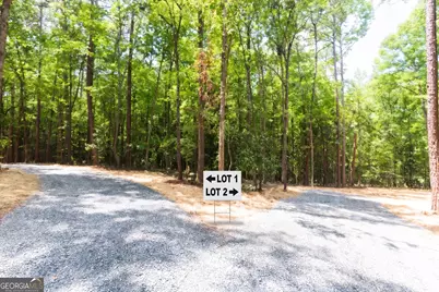 0 Roosevelt Highway #A, Warm Springs, GA 31830 - Photo 3