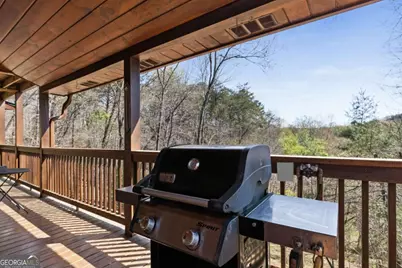 113 Dallas Lane, Blue Ridge, GA 30513 - Photo 19