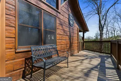 113 Dallas Lane, Blue Ridge, GA 30513 - Photo 43