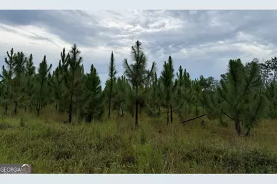 416 Ga Highway 107, Hazlehurst, GA 31539 - Photo 31