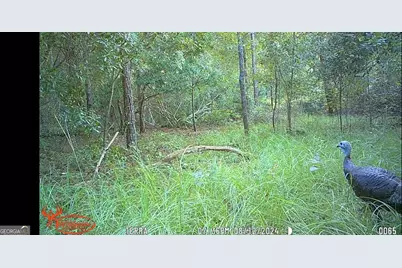 416 Ga Highway 107, Hazlehurst, GA 31539 - Photo 35