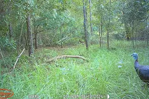 416 Ga Hwy 107, Hazlehurst, GA 31539 - Photo 35