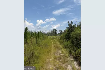 416 Ga Highway 107, Hazlehurst, GA 31539 - Photo 41