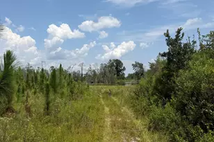 416 Ga Hwy 107, Hazlehurst, GA 31539 - Photo 41