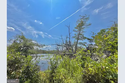 416 Ga Highway 107, Hazlehurst, GA 31539 - Photo 37