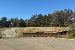 Lot 11 Lindsey Ln, Blue Ridge, GA 30513 - Photo 1