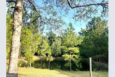 85 Shady Oaks Road, Eastman, GA 31023 - Photo 9