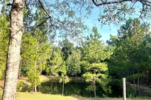 85 Shady Oaks Rd, Eastman, GA 31023 - Photo 9