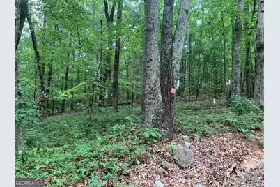 0 Grant Smith, Summit Ridge, Etc., Toccoa, GA 30577 - Photo 17