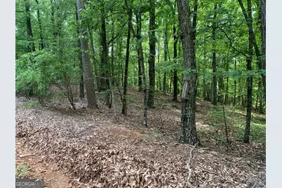 0 Grant Smith, Summit Ridge, Etc., Toccoa, GA 30577 - Photo 13