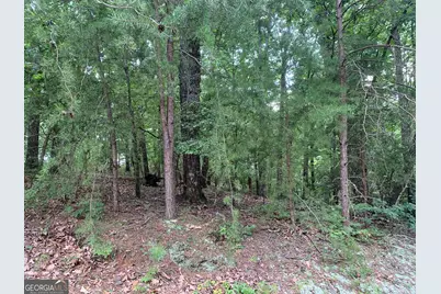 0 Grant Smith, Summit Ridge, Etc., Toccoa, GA 30577 - Photo 9