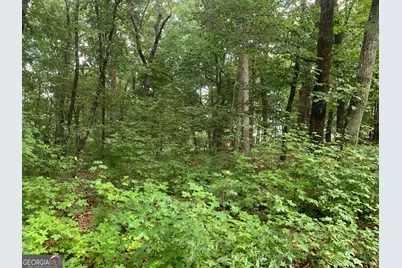 0 Grant Smith, Summit Ridge, Etc., Toccoa, GA 30577 - Photo 15
