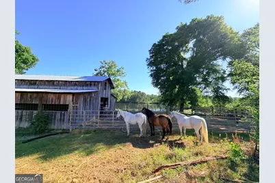 1525 Telfair Line Road, Rhine, GA 31077 - Photo 59