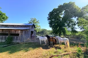 1525 Telfair Line Rd, Rhine, GA 31077 - Photo 59