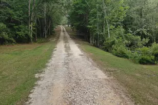 1525 Telfair Line Rd, Rhine, GA 31077 - Photo 85