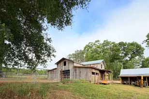 1525 Telfair Line Rd, Rhine, GA 31077 - Photo 13