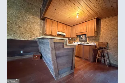 1525 Telfair Line Road, Rhine, GA 31077 - Photo 5