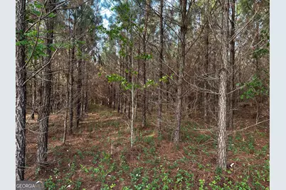 1525 Telfair Line Road, Rhine, GA 31077 - Photo 71