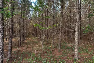 1525 Telfair Line Rd, Rhine, GA 31077 - Photo 71