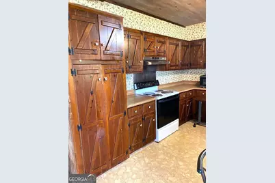1360 Scarboro Church Road, Twin City, GA 30471 - Photo 33