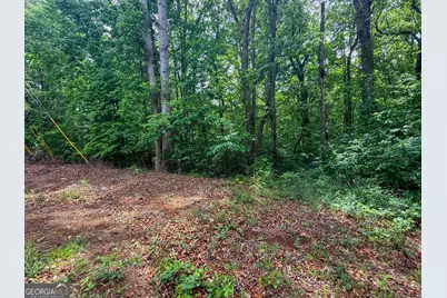 99 Lake Harbor Trail #LOTS 309-312, Martin, GA 30557 - Photo 3