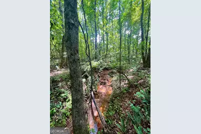 3015 1/2 Old West Point Road, Lagrange, GA 30240 - Photo 39