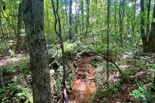 3015 1/2 Old West Point Rd, Lagrange, GA 30240 - Photo 39