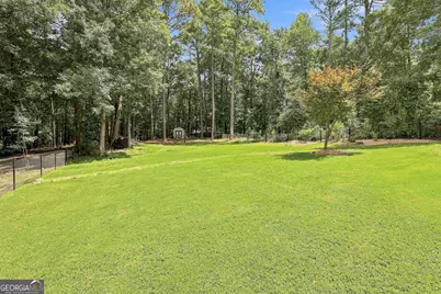 380 Weeping Willow Way, Tyrone, GA 30290 - Photo 47