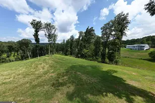 192 Flowers Dr, Blairsville, GA 30512 - Photo 91