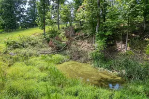 192 Flowers Dr, Blairsville, GA 30512 - Photo 93