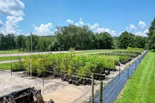 192 Flowers Dr, Blairsville, GA 30512 - Photo 93