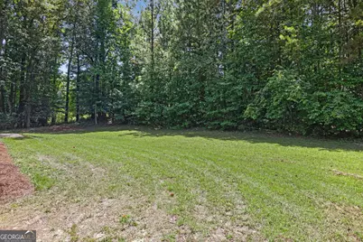 31 Pinelea Drive, Newnan, GA 30263 - Photo 35