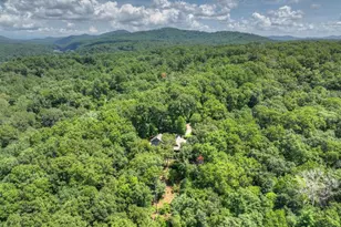 274 Hothouse Dr, Mineral Bluff, GA 30559 - Photo 59