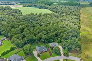 3003 Hackberry Terrace, Bonaire, GA 31005 - Photo 69