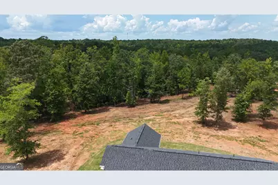 331 Andrews Mill Road, Greenville, GA 30222 - Photo 3