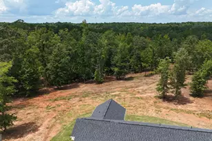 331 Andrews Mill Rd, Greenville, GA 30222 - Photo 3