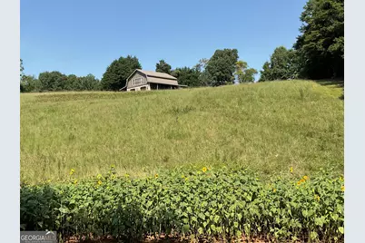 305 Laurel Springs/Opossum, Long Creek, SC 29664 - Photo 7