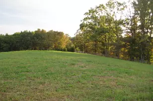 305 Laurel Springs/Opossum, Long Creek, SC 29664 - Photo 3