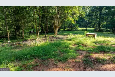 62 &amp; 80 Turin Road, Senoia, GA 30276 - Photo 49