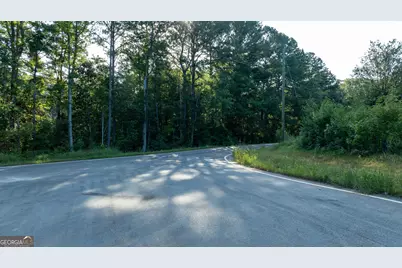 62 &amp; 80 Turin Road, Senoia, GA 30276 - Photo 5