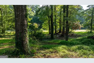62 &amp; 80 Turin Road, Senoia, GA 30276 - Photo 25