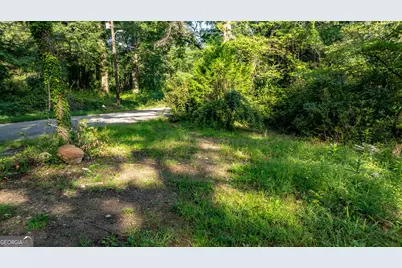 62 &amp; 80 Turin Road, Senoia, GA 30276 - Photo 51