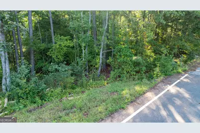 62 &amp; 80 Turin Road, Senoia, GA 30276 - Photo 19