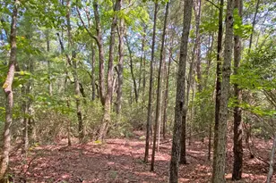 10 59Ac T S Jarrard Rd, Dahlonega, GA 30533 - Photo 1