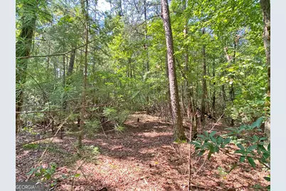 10.59Ac T S Jarrard Road, Dahlonega, GA 30533 - Photo 5